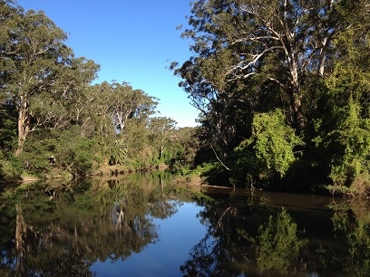 Lane Cove River: Hypnotherapy Lane Cove | Hypnosis Lane Cover