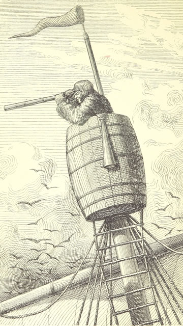 Crows nest illustration Crows nest illustration