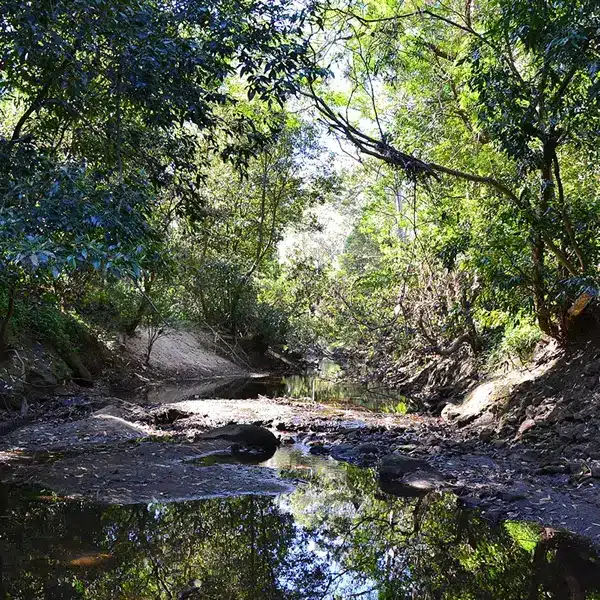 Lane Cove river, Sydney